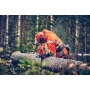 Pilarki łańcuchowe - Profesjonalna pilarka Husqvarna 560 XP® Mark II