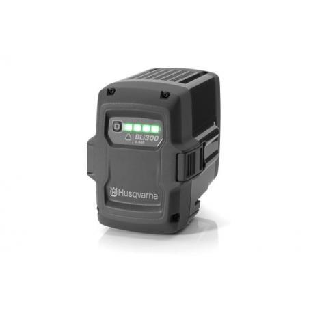 Akumulator BLi300