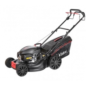 Kosiarka spalinowa Cedrus KS53H