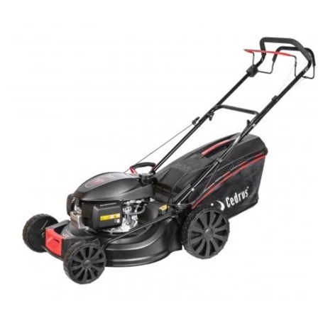 Kosiarka spalinowa Cedrus KS53H