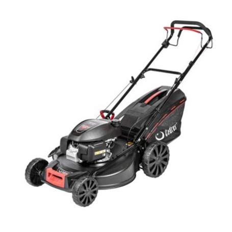 Kosiarka spalinowa Cedrus KS56S-H