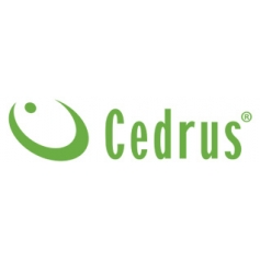 Profil listwy wibracyjnej LW01 2,44 m